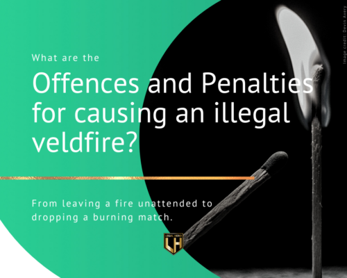 What are the Offences and Penalties for causing an illegal veldfire?